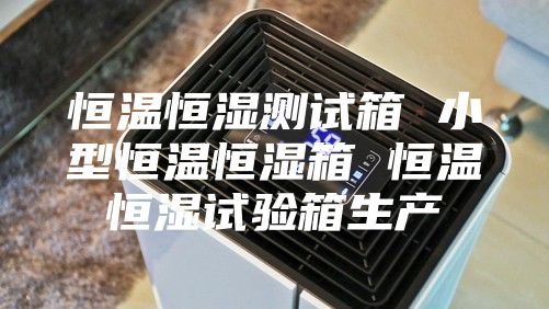 恒温恒湿测试箱 小型恒温恒湿箱 恒温恒湿试验箱生产
