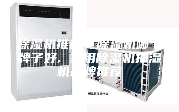 除湿机推荐，除湿机哪个牌子好, 家用除湿机抽湿机品牌推荐