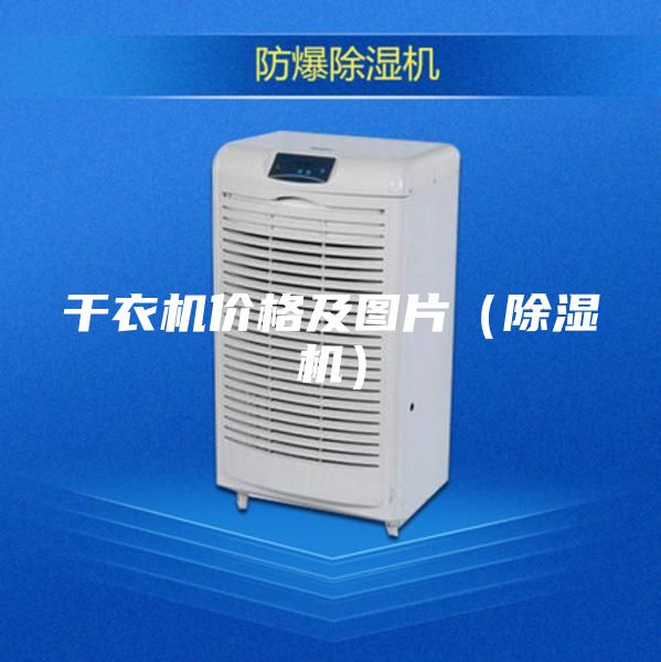 干衣机价格及图片（除湿机）