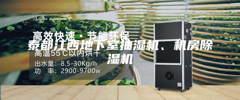 泰都江西地下室抽湿机、机房除湿机