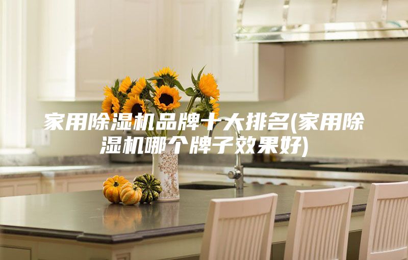 家用除湿机品牌十大排名(家用除湿机哪个牌子效果好)