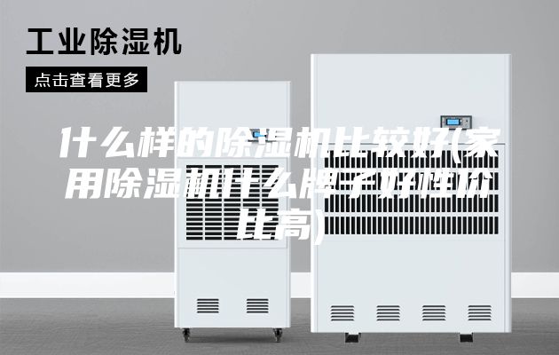 什么样的除湿机比较好(家用除湿机什么牌子好性价比高)