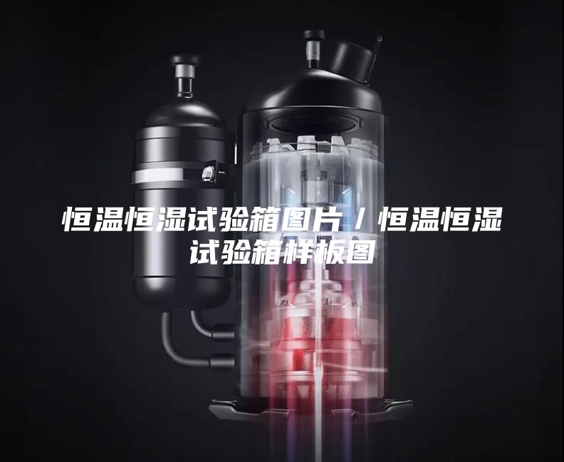 恒温恒湿试验箱图片／恒温恒湿试验箱样板图