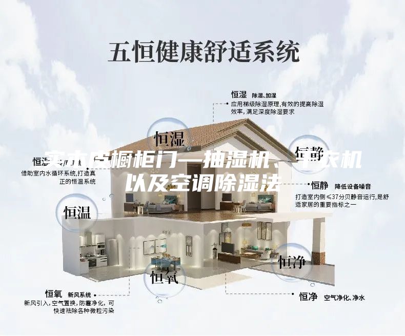 实木皮橱柜门—抽湿机、干衣机以及空调除湿法