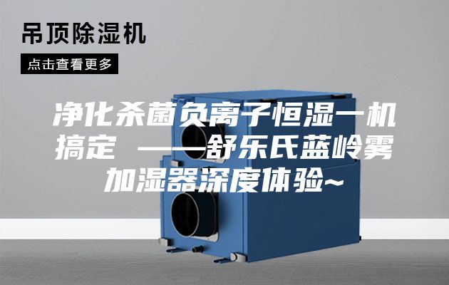 净化杀菌负离子恒湿一机搞定 ——舒乐氏蓝岭雾加湿器深度体验~