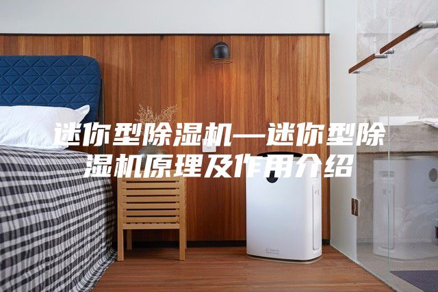 迷你型除湿机—迷你型除湿机原理及作用介绍