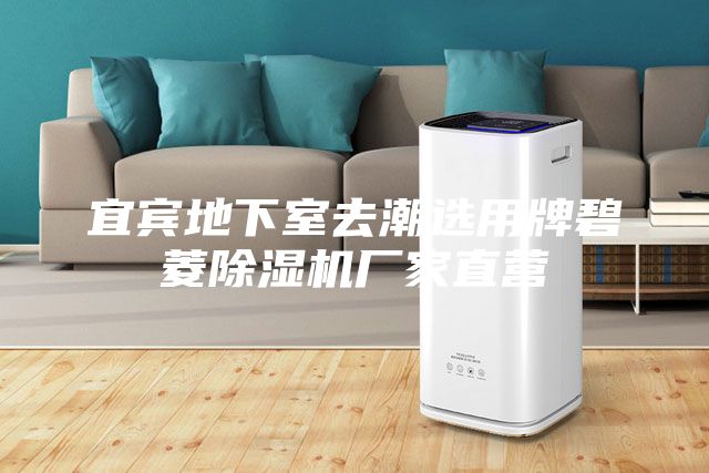 宜宾地下室去潮选用牌碧菱除湿机厂家直营