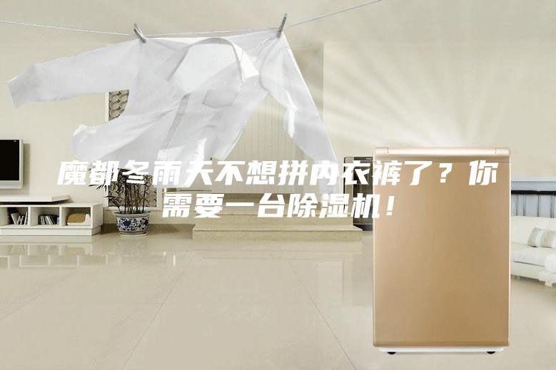魔都冬雨天不想拼内衣裤了？你需要一台除湿机！