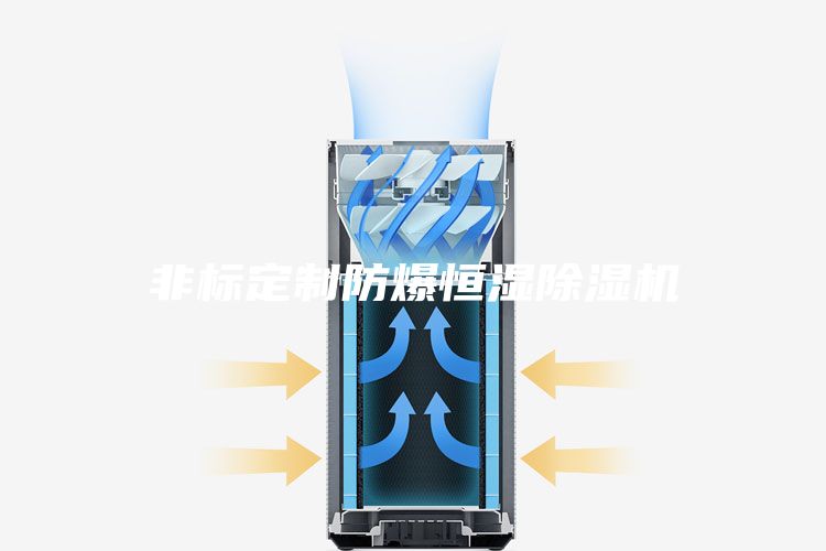 非标定制防爆恒湿除湿机