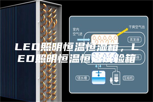 LED照明恒温恒湿箱，LED照明恒温恒湿试验箱
