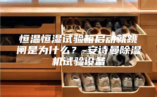 恒温恒湿试验箱启动就跳闸是为什么？-安诗曼除湿机试验设备