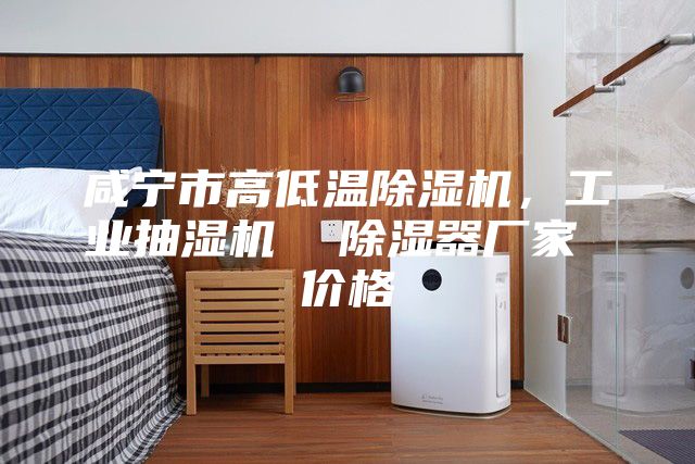 咸宁市高低温除湿机，工业抽湿机  除湿器厂家 价格