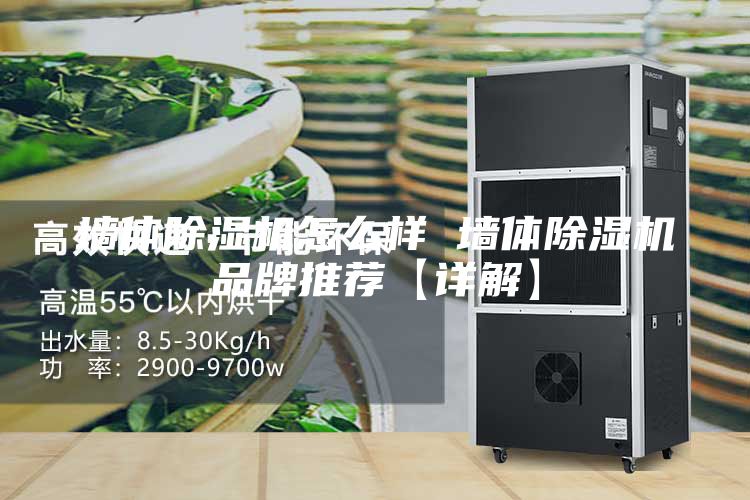 墙体除湿机怎么样 墙体除湿机品牌推荐【详解】
