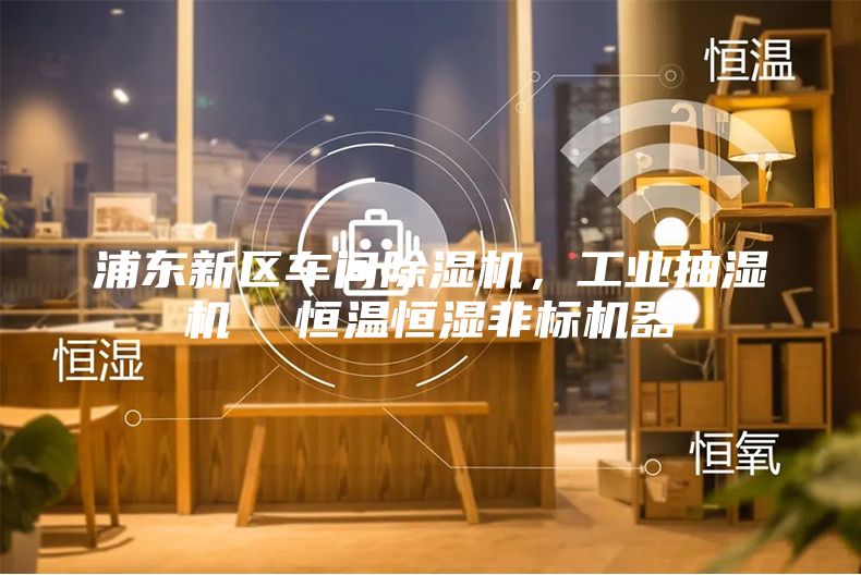 浦东新区车间除湿机，工业抽湿机  恒温恒湿非标机器
