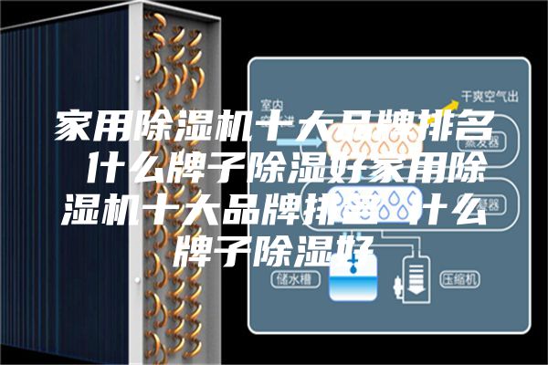 家用除湿机十大品牌排名 什么牌子除湿好家用除湿机十大品牌排名 什么牌子除湿好