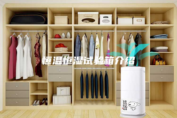 恒温恒湿试验箱介绍