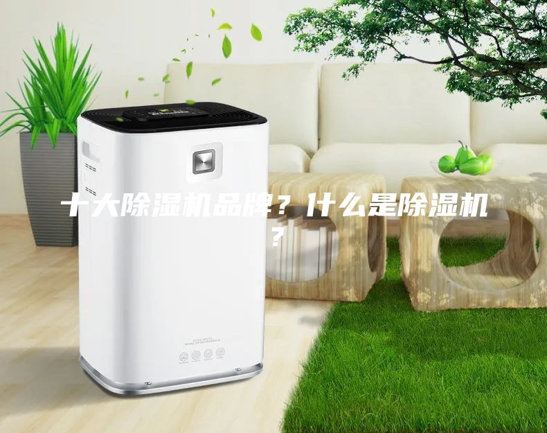 十大除湿机品牌？什么是除湿机？