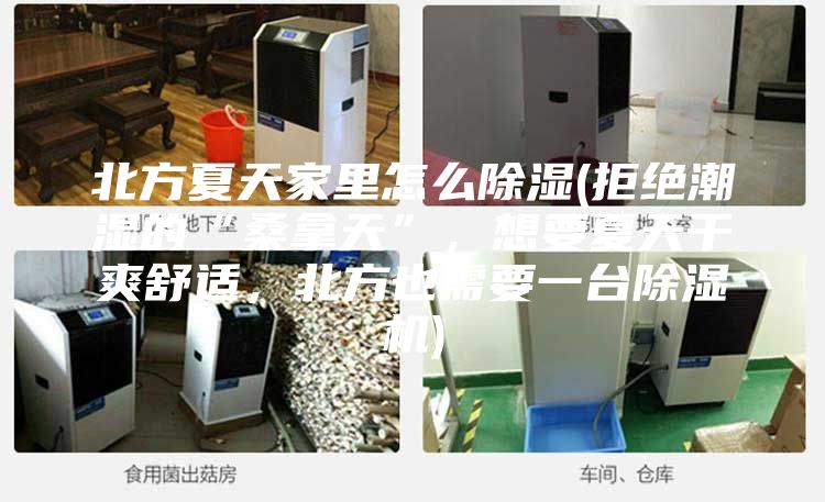 北方夏天家里怎么除湿(拒绝潮湿的“桑拿天”，想要夏天干爽舒适，北方也需要一台除湿机)