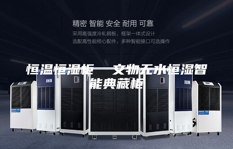 恒温恒湿柜  文物无水恒湿智能典藏柜