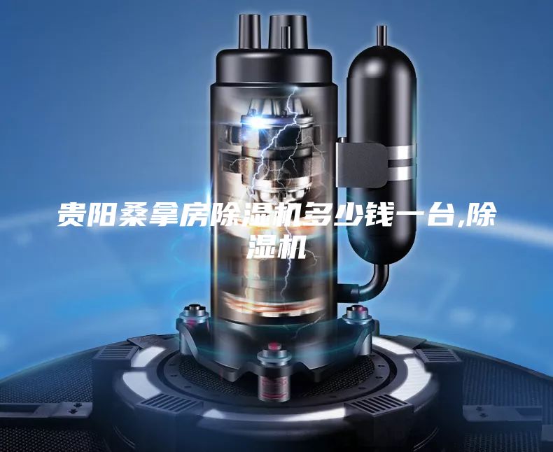 贵阳桑拿房除湿机多少钱一台,除湿机