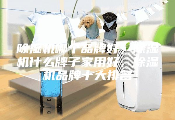 除湿机哪个品牌好，除湿机什么牌子家用好，除湿机品牌十大排名