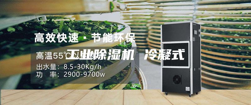 工业除湿机 冷凝式