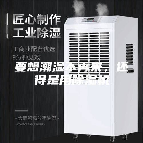 要想潮湿不再来，还得是用除湿机