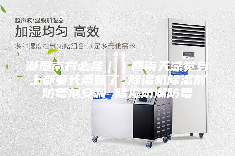 潮湿南方必备｜｜回南天感觉身上都要长蘑菇了 除湿机除湿剂防霉剂安利 除湿防潮防霉