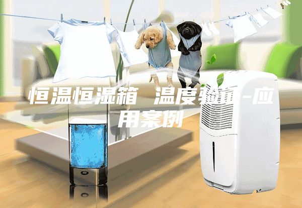 恒温恒湿箱 温度验证-应用案例