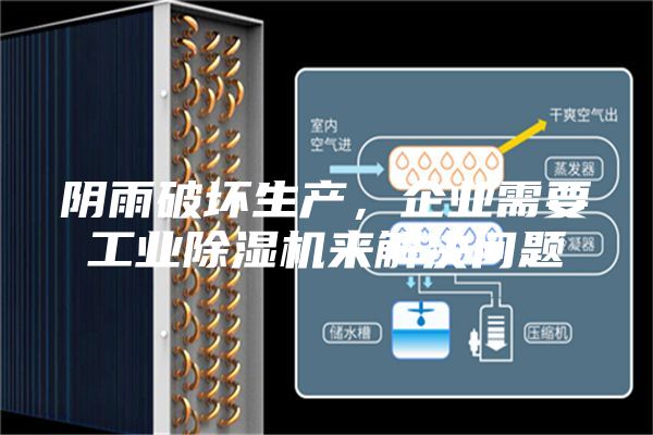 阴雨破坏生产，企业需要工业除湿机来解决问题
