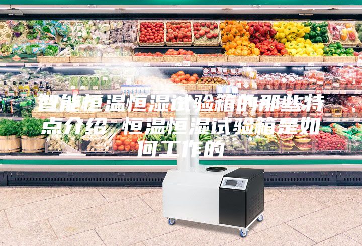 智能恒温恒湿试验箱的那些特点介绍 恒温恒湿试验箱是如何工作的