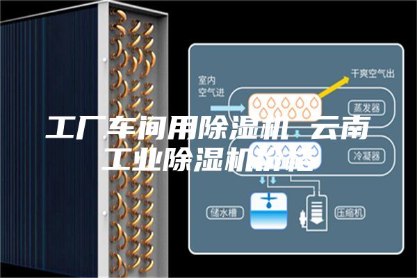 工厂车间用除湿机 云南工业除湿机价格