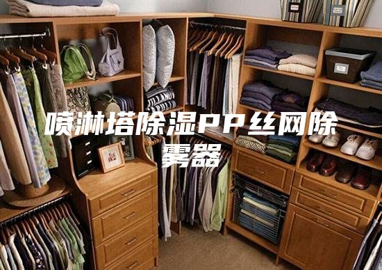 喷淋塔除湿PP丝网除雾器