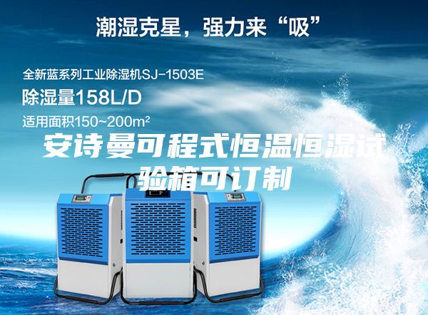 安诗曼可程式恒温恒湿试验箱可订制