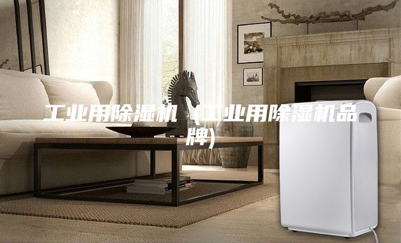 工业用除湿机 (工业用除湿机品牌)
