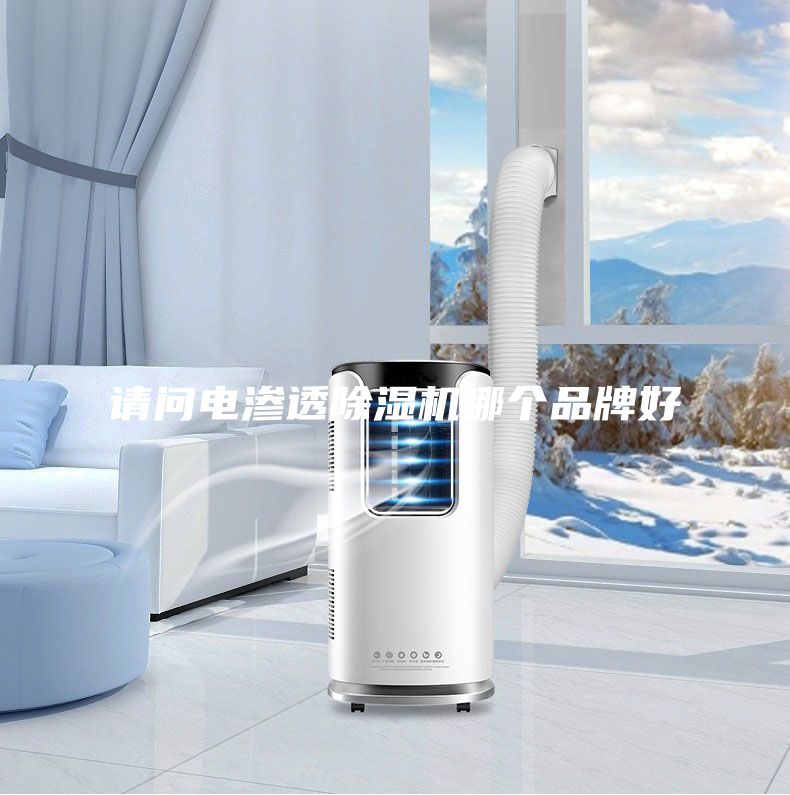 请问电渗透除湿机哪个品牌好
