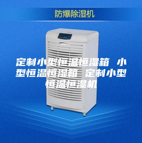 定制小型恒温恒湿箱 小型恒温恒湿箱 定制小型恒温恒湿机