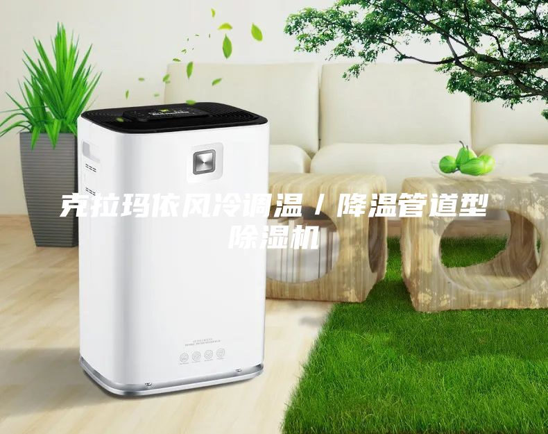 克拉玛依风冷调温／降温管道型除湿机