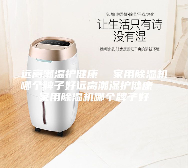 远离潮湿护健康  家用除湿机哪个牌子好远离潮湿护健康  家用除湿机哪个牌子好