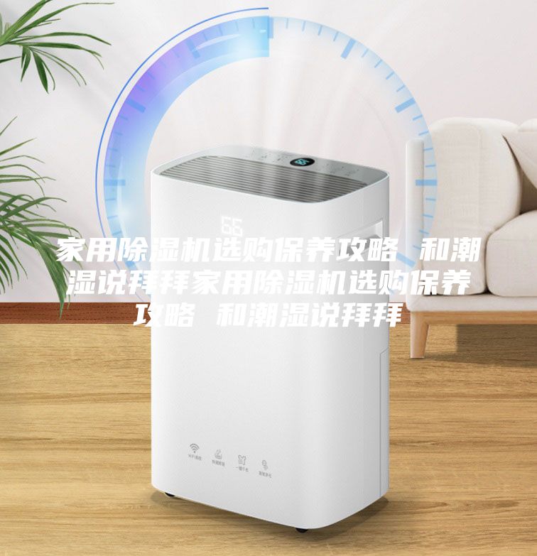 家用除湿机选购保养攻略 和潮湿说拜拜家用除湿机选购保养攻略 和潮湿说拜拜