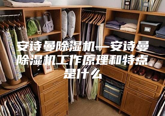 安诗曼除湿机—安诗曼除湿机工作原理和特点是什么