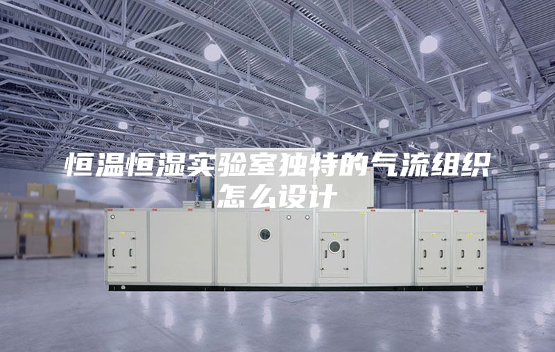 恒温恒湿实验室独特的气流组织怎么设计
