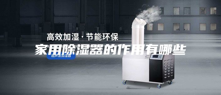 家用除湿器的作用有哪些