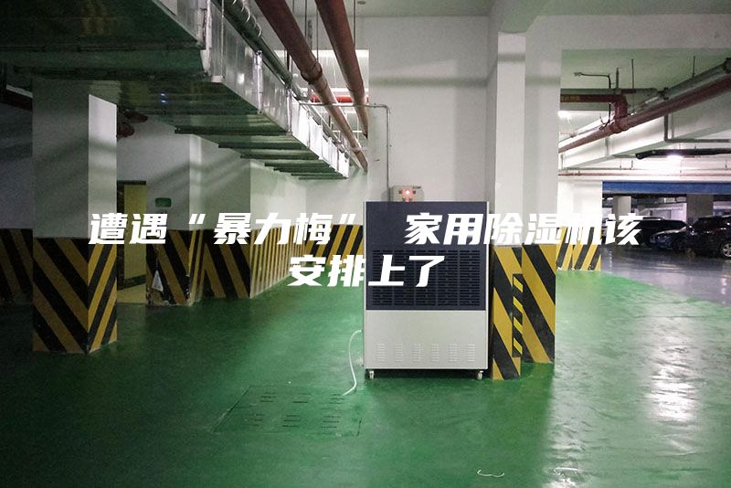 遭遇“暴力梅” 家用除湿机该安排上了