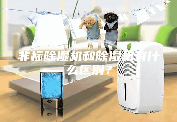非标除湿机和除湿机有什么区别？