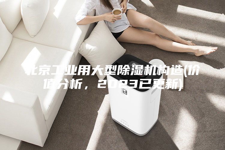 北京工业用大型除湿机构造(价值分析，2023已更新)