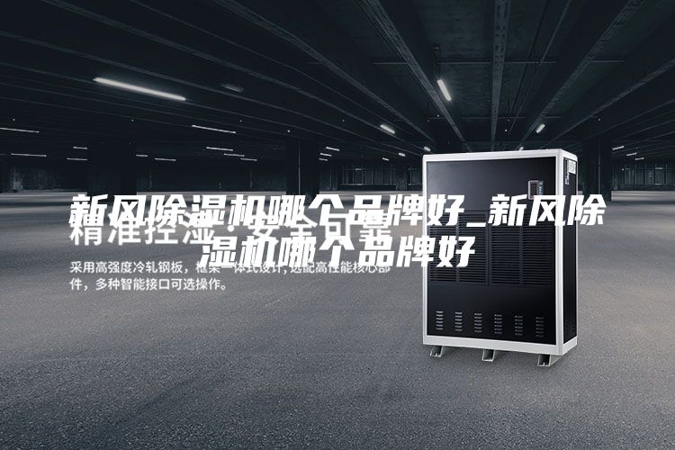 新风除湿机哪个品牌好_新风除湿机哪个品牌好