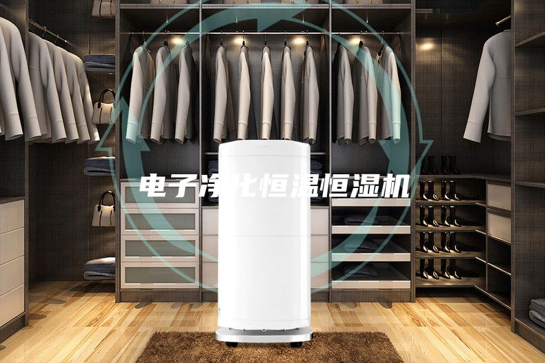 电子净化恒温恒湿机