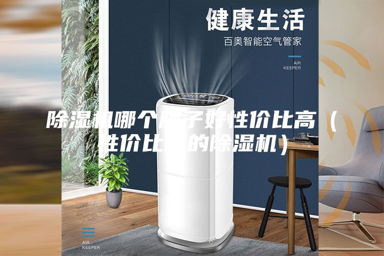 除湿机哪个牌子好性价比高（性价比高的除湿机）