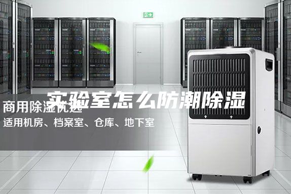 实验室怎么防潮除湿